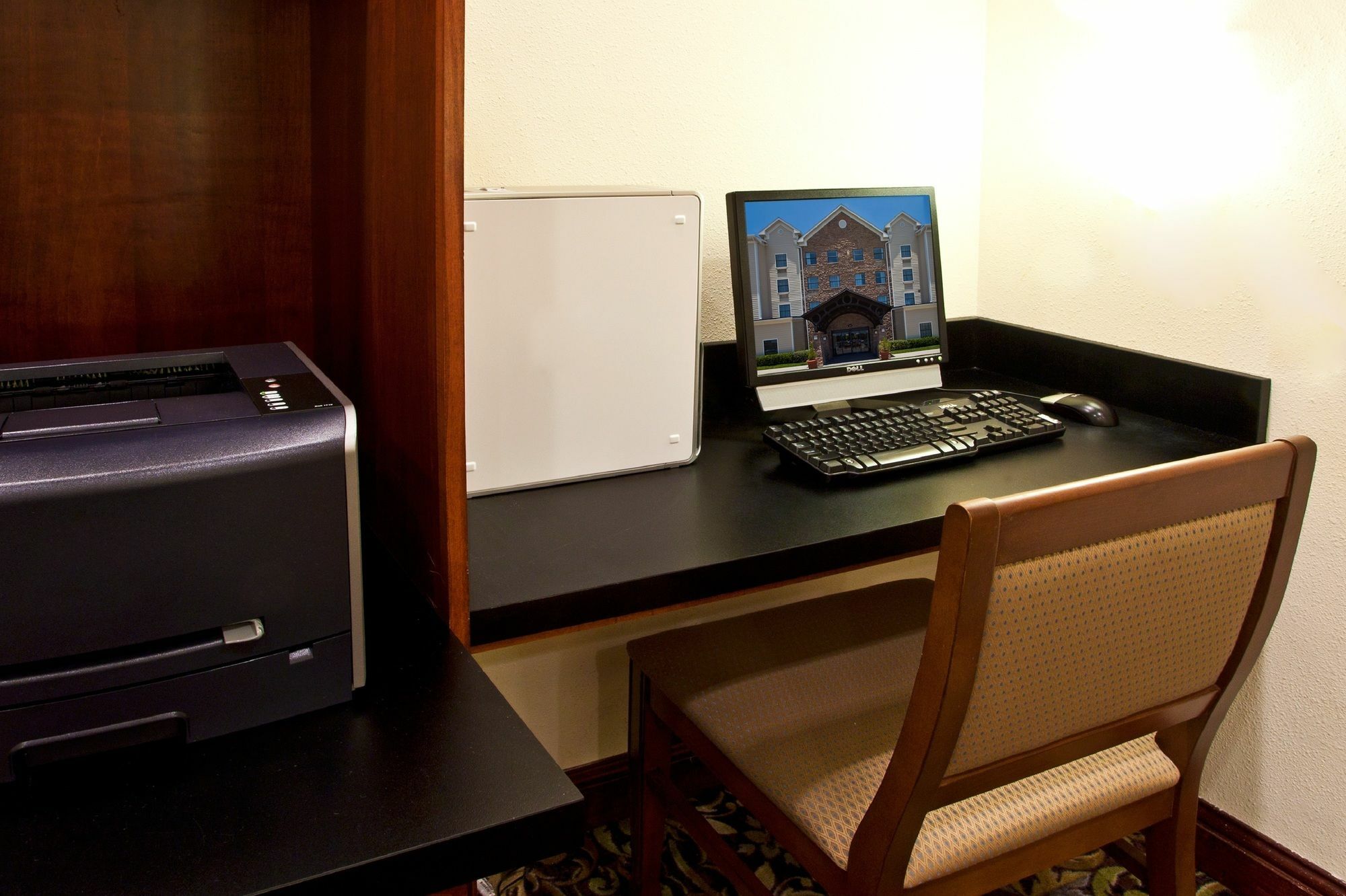 Staybridge Suites Tampa East- Brandon By Ihg Mango Zewnętrze zdjęcie